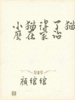 小猫得了猫瘟怎么在家治