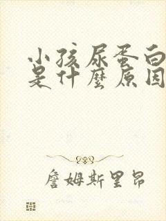 小孩尿蛋白质高是什么原因引起的