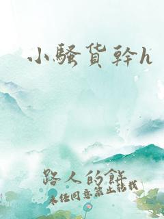 小骚货干h