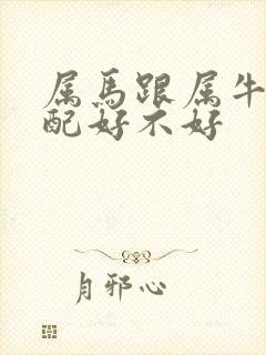 属马跟属牛的婚配好不好