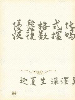 优盘格式化后能恢复数据吗