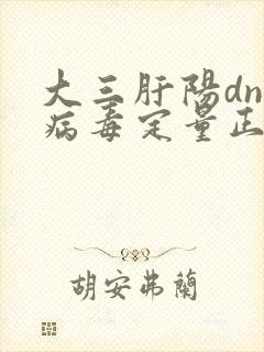 大三肝阳dna病毒定量正常范围多少啊