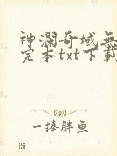 神澜奇域无双珠完本txt下载