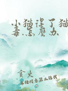 小猫得了猫瘟病毒.怎么办