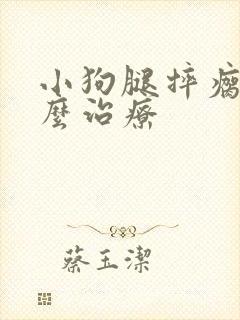 小狗腿摔瘸了怎么治疗