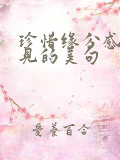 珍惜缘分感恩遇见的美句