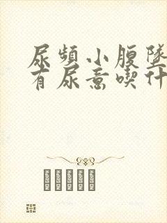 尿频小腹坠胀总有尿意吃什么药