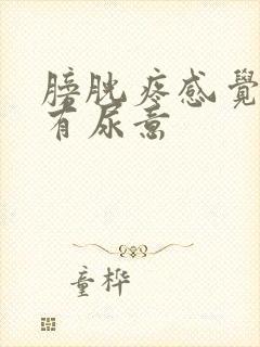 膀胱疼感觉老是有尿意