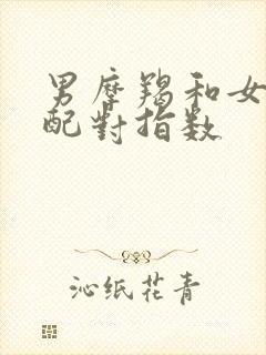 男摩羯和女射手配对指数