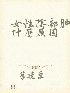 女性阴部肿痛是什么原因