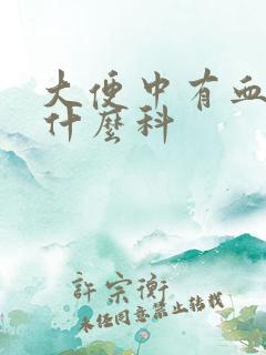 大便中有血应挂什么科