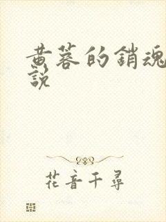 黄蓉的销魂夜小说