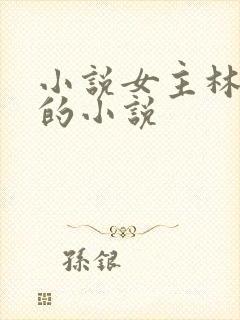 小说女主林星澜的小说
