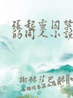 张起灵囚禁吴邪的同人小说