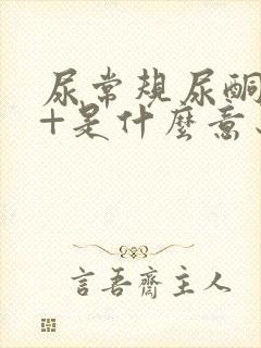 尿常规尿酮体1+是什么意思