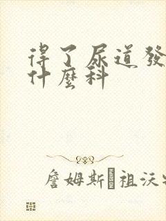 得了尿道发炎挂什么科