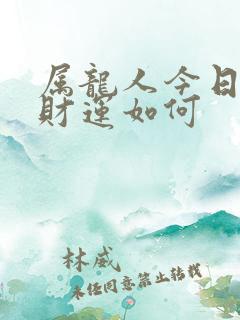 属龙人今日打牌财运如何