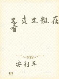 又爽又粗在线观看