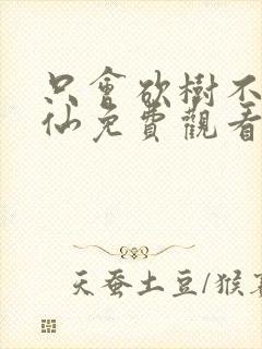 只会砍树不会修仙免费观看