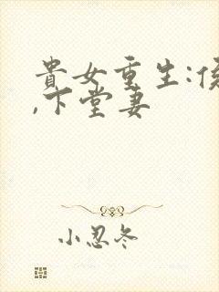 贵女重生:侯府,下堂妻