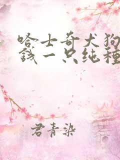 哈士奇犬狗多少钱一只纯种