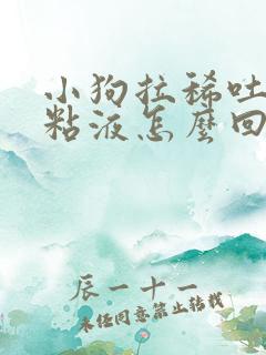 小狗拉稀吐白色粘液怎么回事