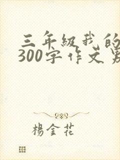 三年级我的同桌300字作文男