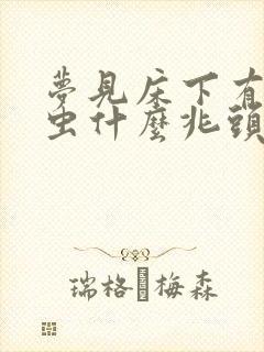 梦见床下有很多虫什么兆头