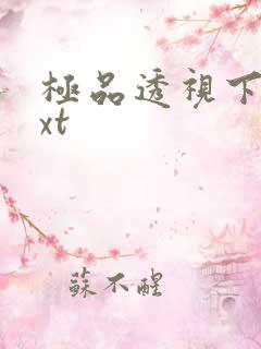 极品透视下载txt