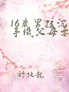 16岁男孩沉迷手机父母要怎么解决