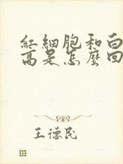 红细胞和白细胞高是怎么回事