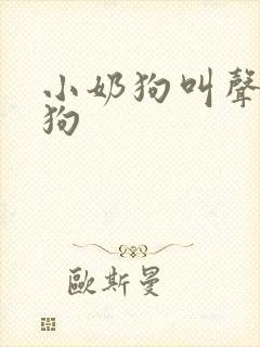 小奶狗叫声吸引狗