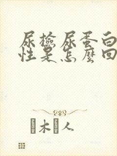 尿检尿蛋白弱阳性是怎么回事