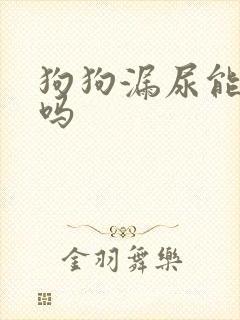 狗狗漏尿能自愈吗