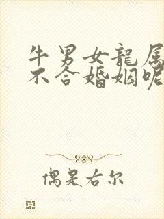 牛男女龙属相合不合婚姻呢
