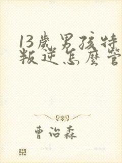 13岁男孩特别叛逆怎么管教