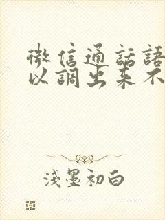 微信通话语音可以调出来不