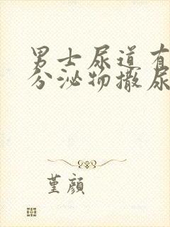 男士尿道有白色分泌物撒尿有点疼