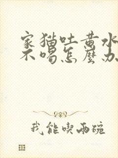 家猫吐黄水不吃不喝怎么办