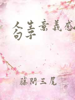 人生意义感悟的句子