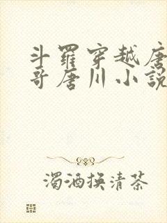 斗罗穿越唐三亲哥唐川小说