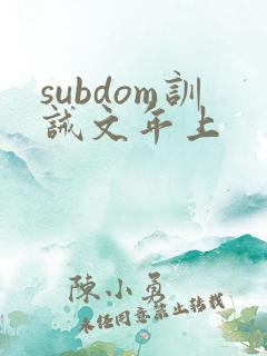 subdom训诫文年上