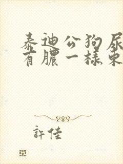 泰迪公狗尿道口有脓一样东西