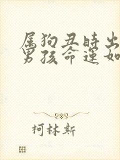 属狗丑时出生的男孩命运如何