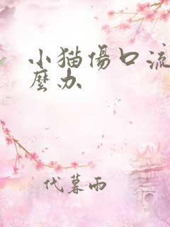 小猫伤口流脓怎么办