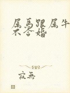 属马跟属牛的合不合婚