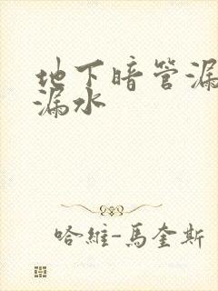 地下暗管漏水查漏水