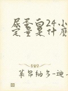 尿蛋白24小时定量是什么意思