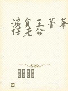 演员王菁华的现任老公