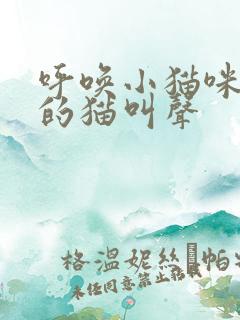 呼唤小猫咪出来的猫叫声